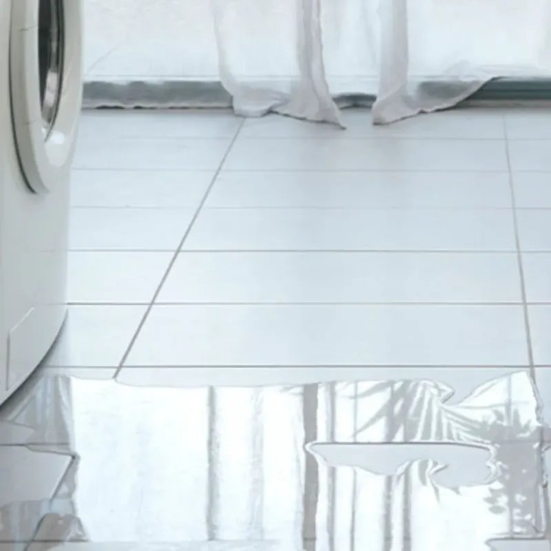 Appliance Leak Cleanup in Collinsville, VA