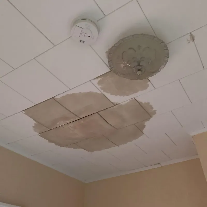 Ceiling Water Damage Repair in Collinsville, VA