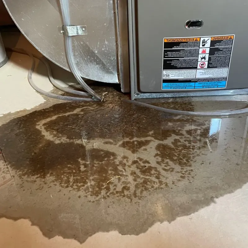 Pipe Burst and Leak Restoration in Collinsville, VA