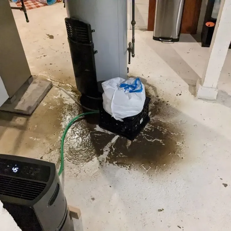 Sewage Backup Cleanup Service in Collinsville, VA